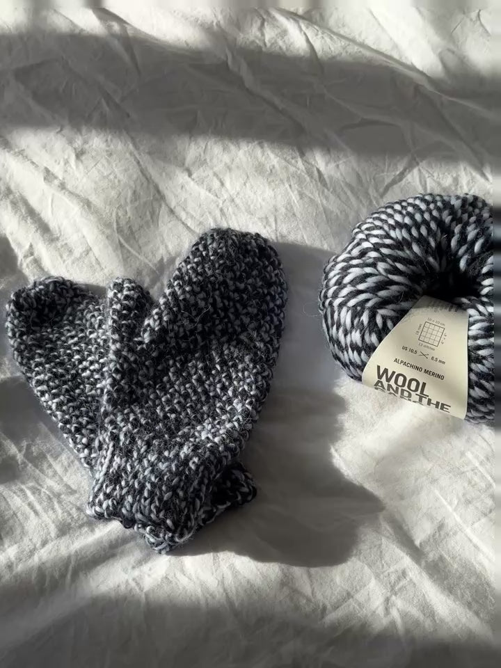 Crochet Mittens Workshop